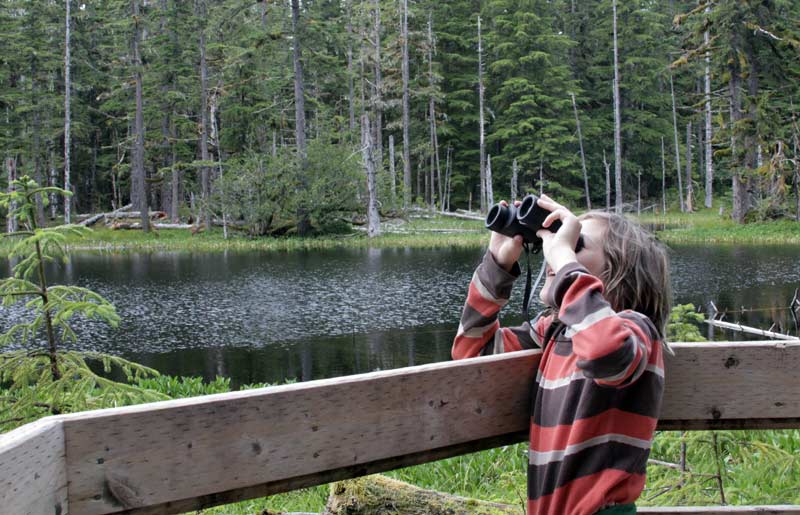 Zac spies something in the rainforest wetland