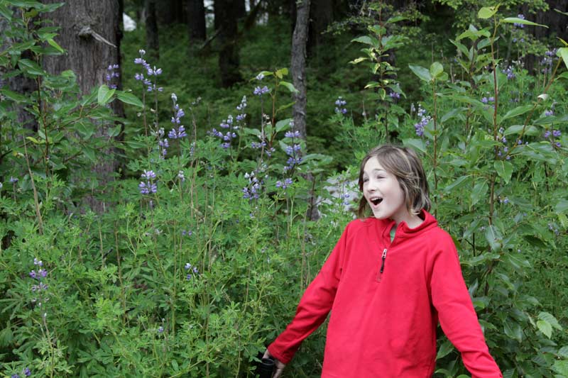 Zac sings in the campground at Denali