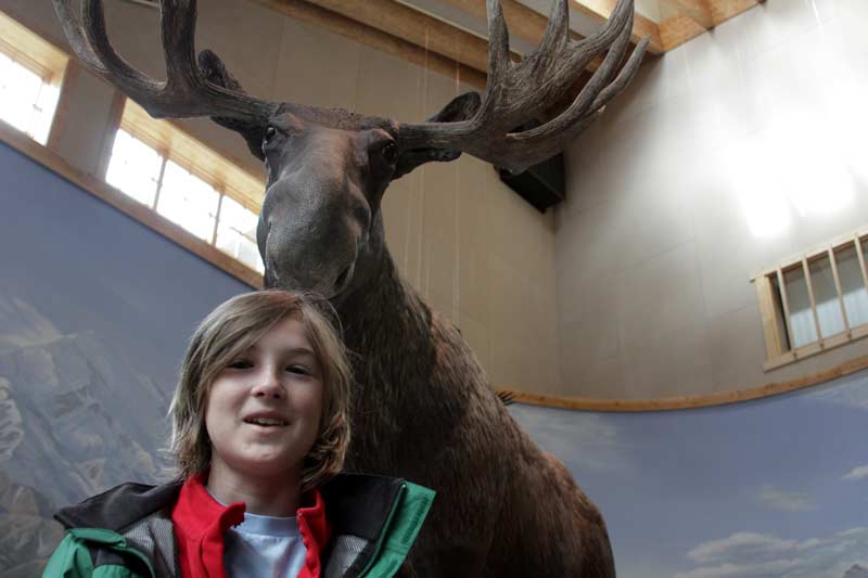 Moose nibbling on Zac's head
