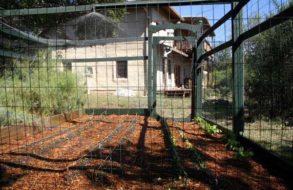 Watering upper garden with house in background