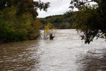 Hammett's Crossing Flood with tree