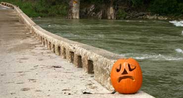 pumpkin sad