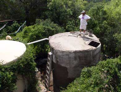 Terry on top of cistern