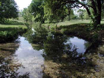 Rocky Creek in all its glory